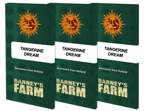 Tangerine dream (3) 100% barney farm see